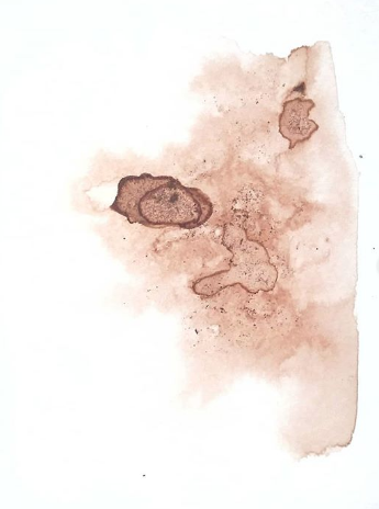 Tea artwork #3 Abstract Nature - Pablo Schvarzman